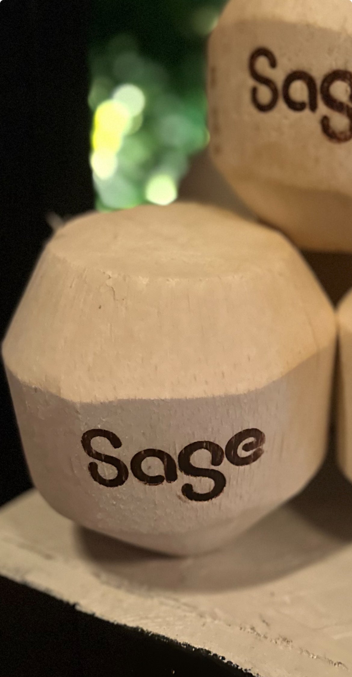 Close-up of Sage logo branded on a trimmed coconut